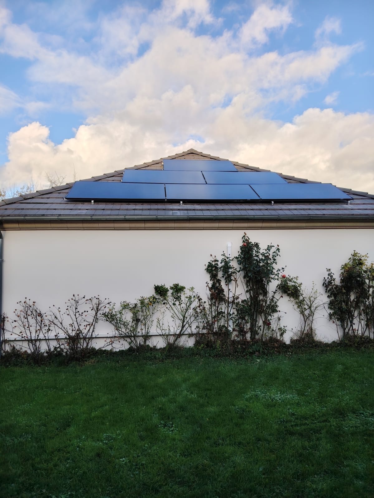 Panneaux SunPower haute performance en pleine production